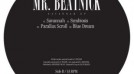 Mr Beatnick – Savannah
