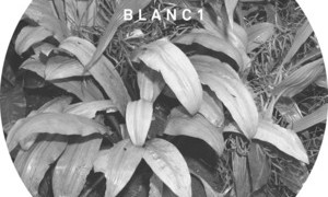 blanc