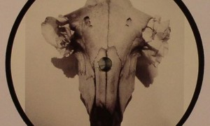 wolf18